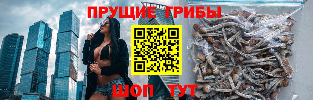 Галлюциногенные грибы ЛСД Верхний Уфалей